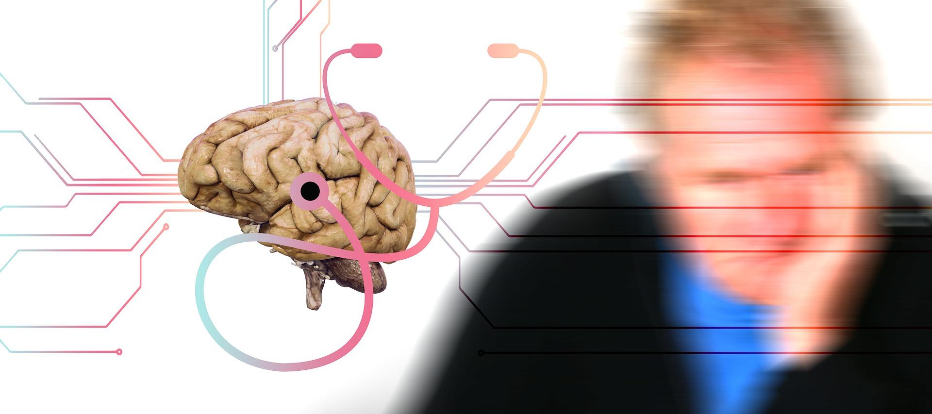 Apprendre une langue pour prévenir la maladie d'Alzheimer